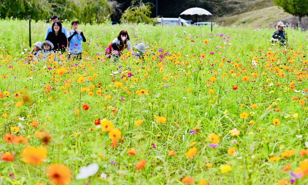 お婆ちゃん達楽しんでね〜