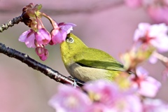 美味しいな〜