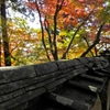 古い土塀と紅葉