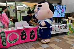 西郷どんも祭りに参加
