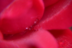 雫