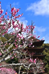 三年間の見納めです‼︎