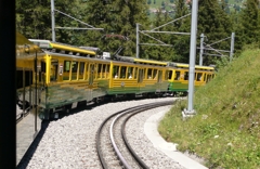 登山列車と歯軌条式レール