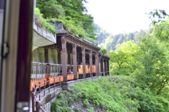 トロッコ列車が行く