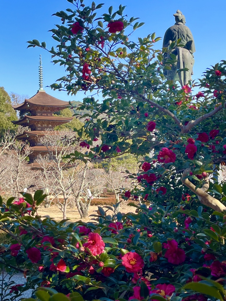 梅を待つ五重塔