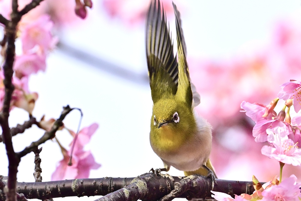 さ〜次行くよ！