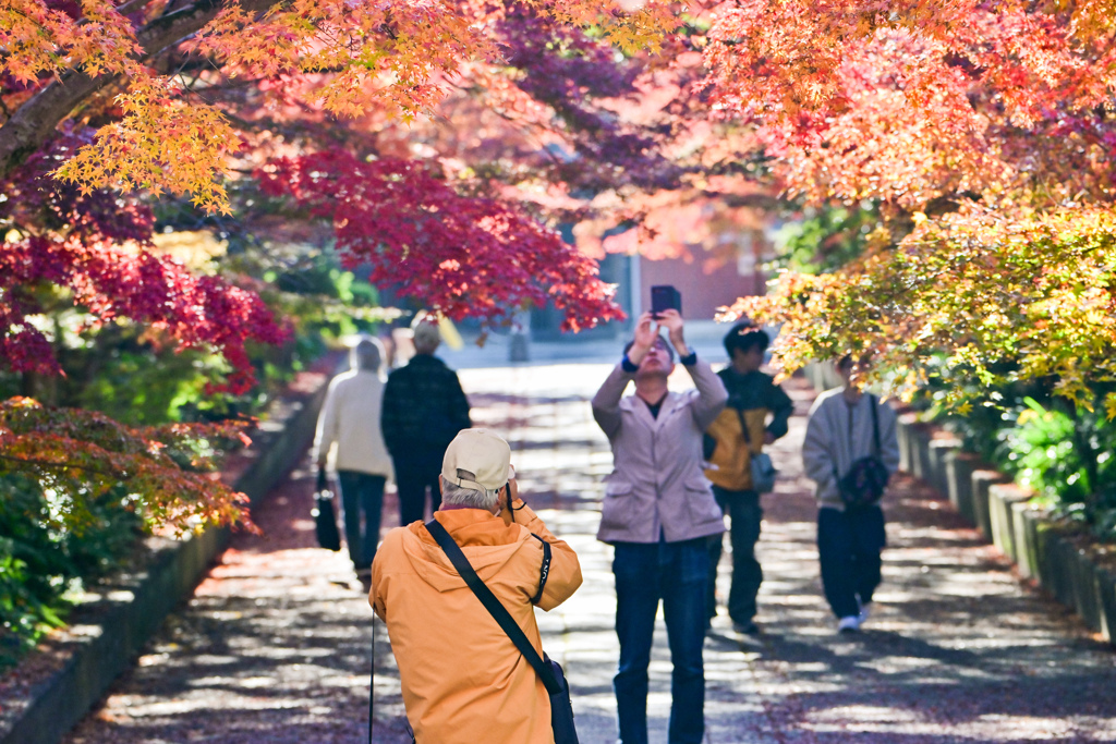 最後を楽しむ人々