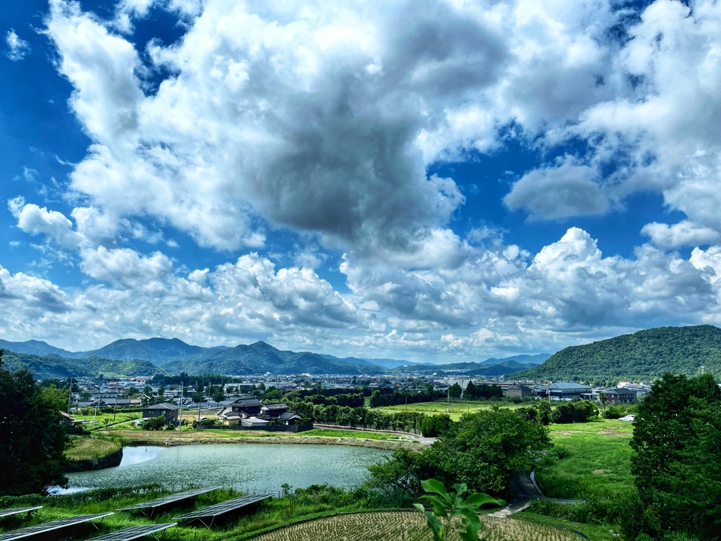里山の風景