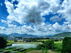 里山の風景
