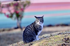 今年もよろしくね＾＾