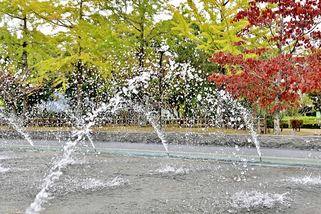 秋模様の公園