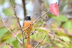 帰って来たよ〜！