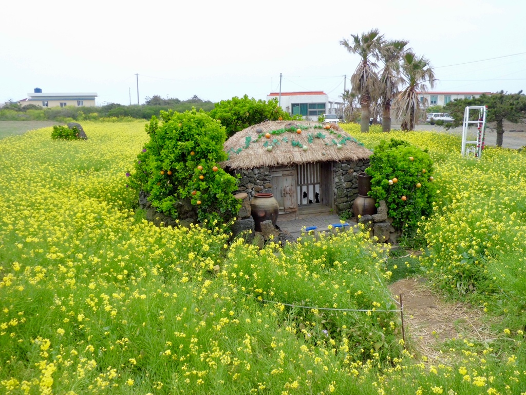面白い花畑