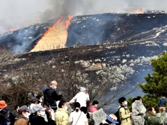 台地の山焼き②