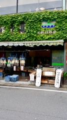 ある風景