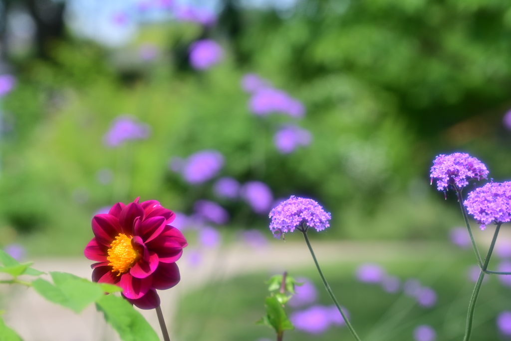 花模様