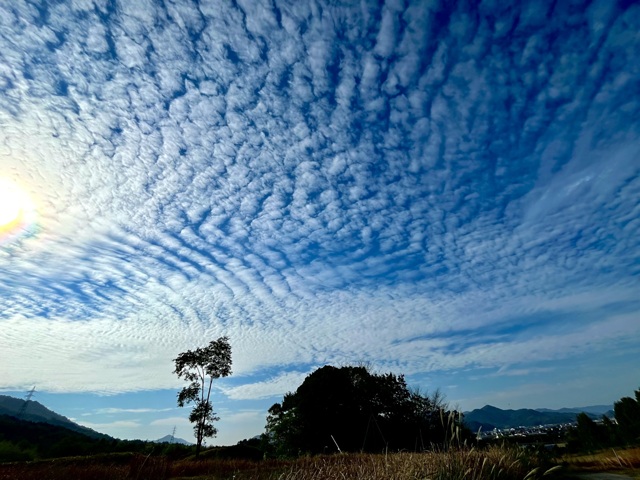 空・天体写真集