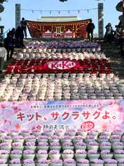 受験生がんばれ〜！