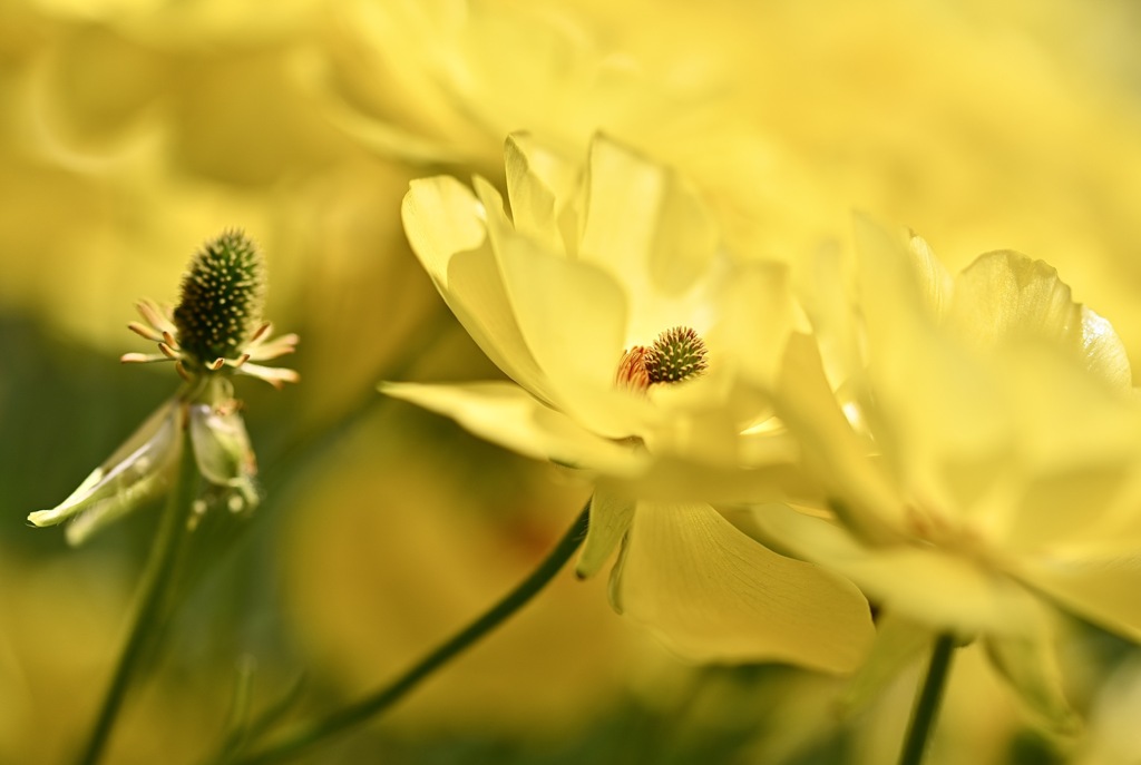 花々に憩いを