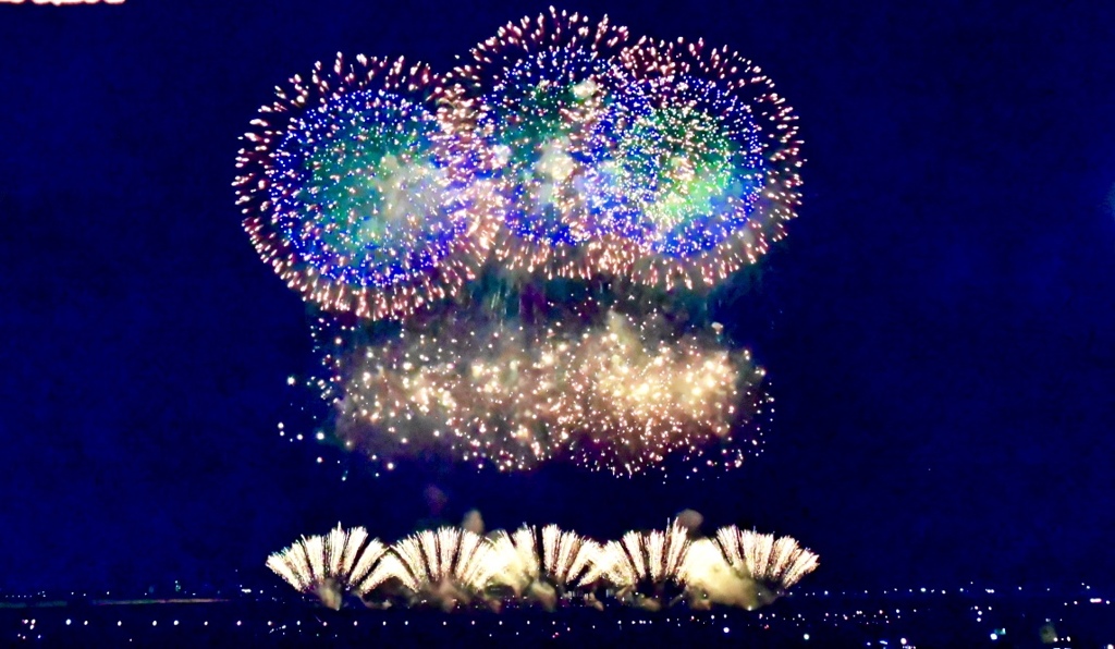 テレビで長岡花を撮ってみた1