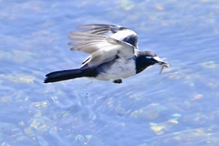 捕ったよ〜！！