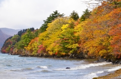 十和田湖の紅葉