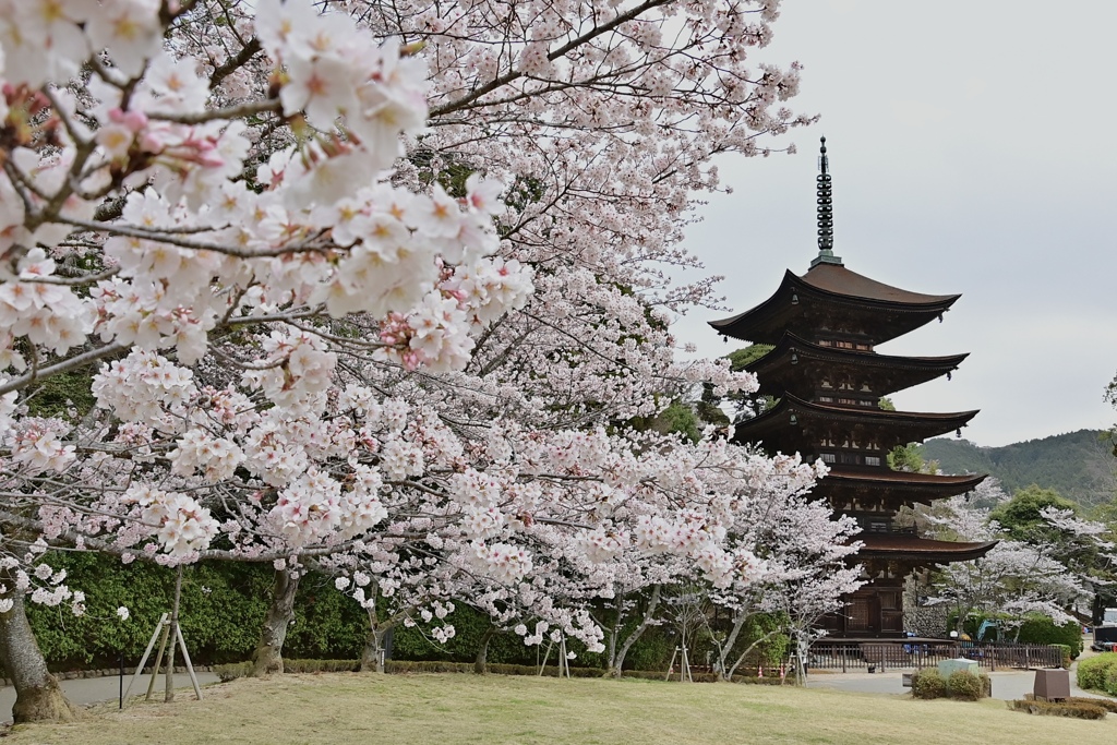 五重塔もご満悦＾＾