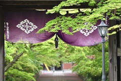 新緑に囲まれる寺
