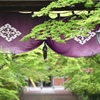 新緑に囲まれる寺