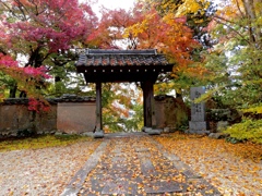 秋に濡れる山門