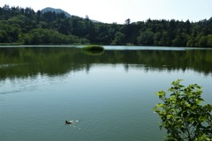姫沼の情景