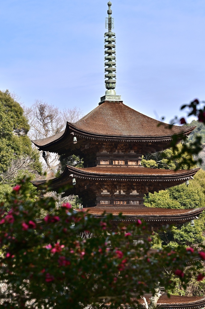 春を待つ五重塔