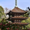 春を待つ五重塔