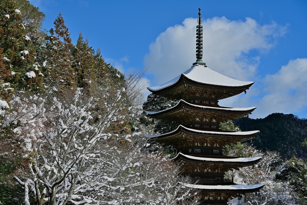 雪化粧した五重塔