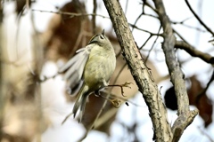 上に飛びま〜す！