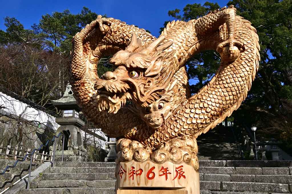 今年も高く舞い上がります！