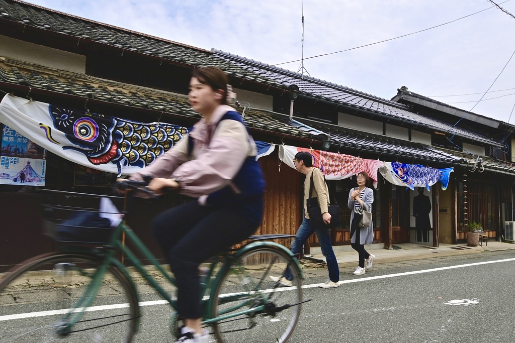 屋根より低い鯉のぼり〜♪