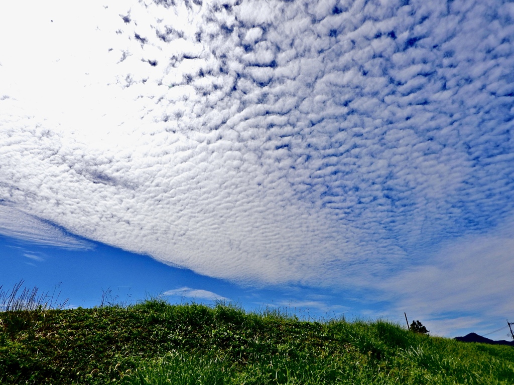 秋の雲