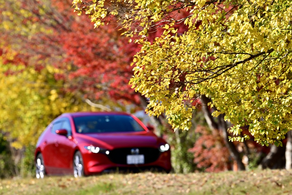 red car紅葉を走る‼︎