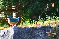 新記録達成！！