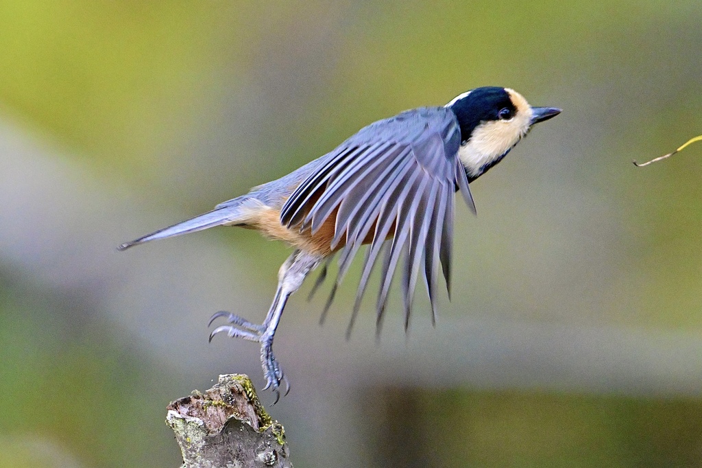 忙しいヤマちゃん＾＾