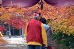 色色色・・・・＾＾