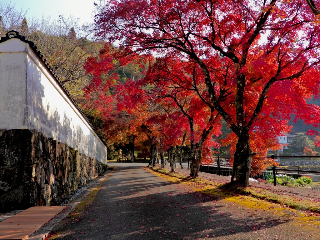 白壁と紅葉