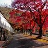 白壁と紅葉