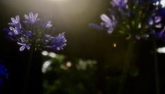 朝日が眩しい