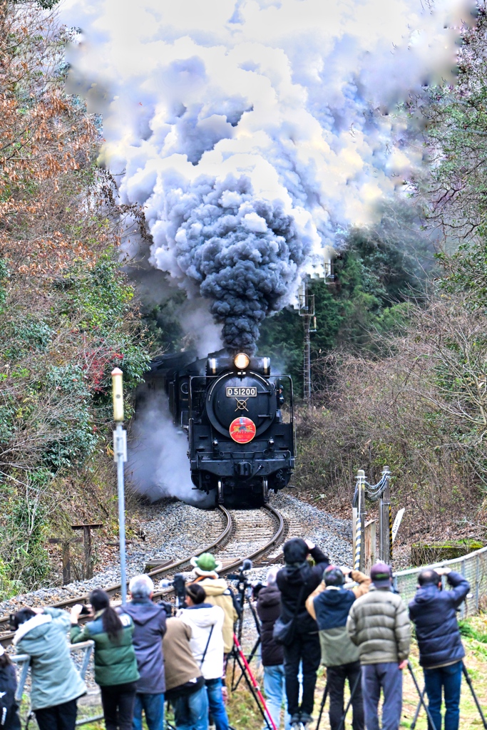 D51元旦を走る！