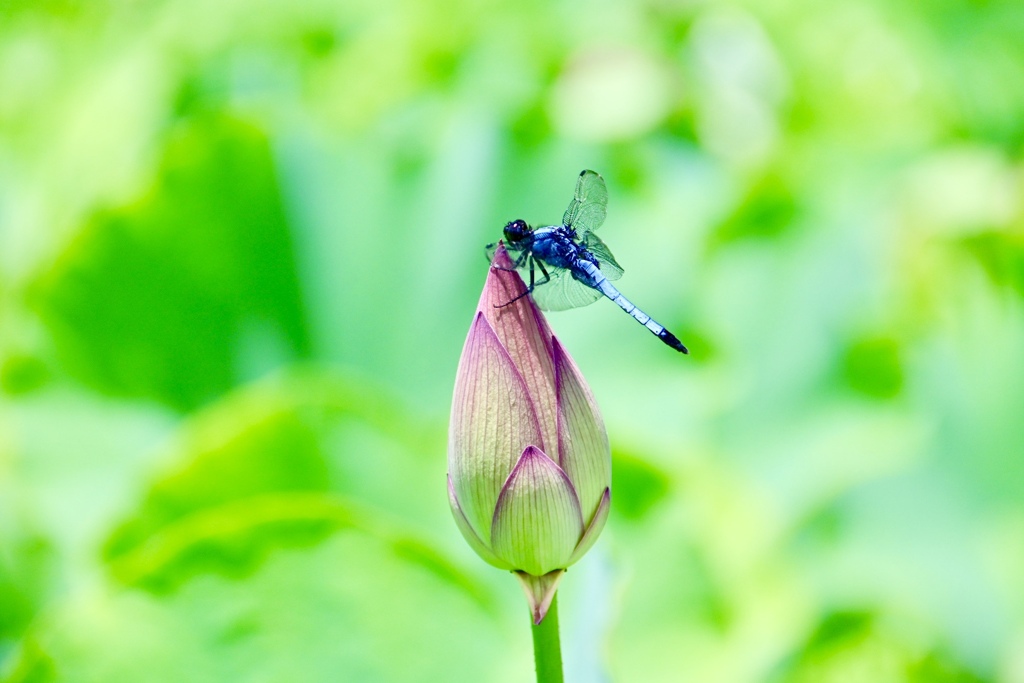 居心地が良いな~