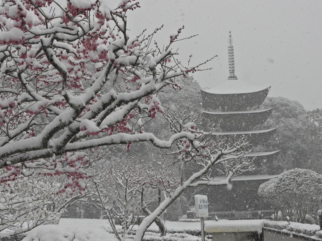 雪・梅の花・五重塔