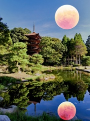 国宝と皆既月食