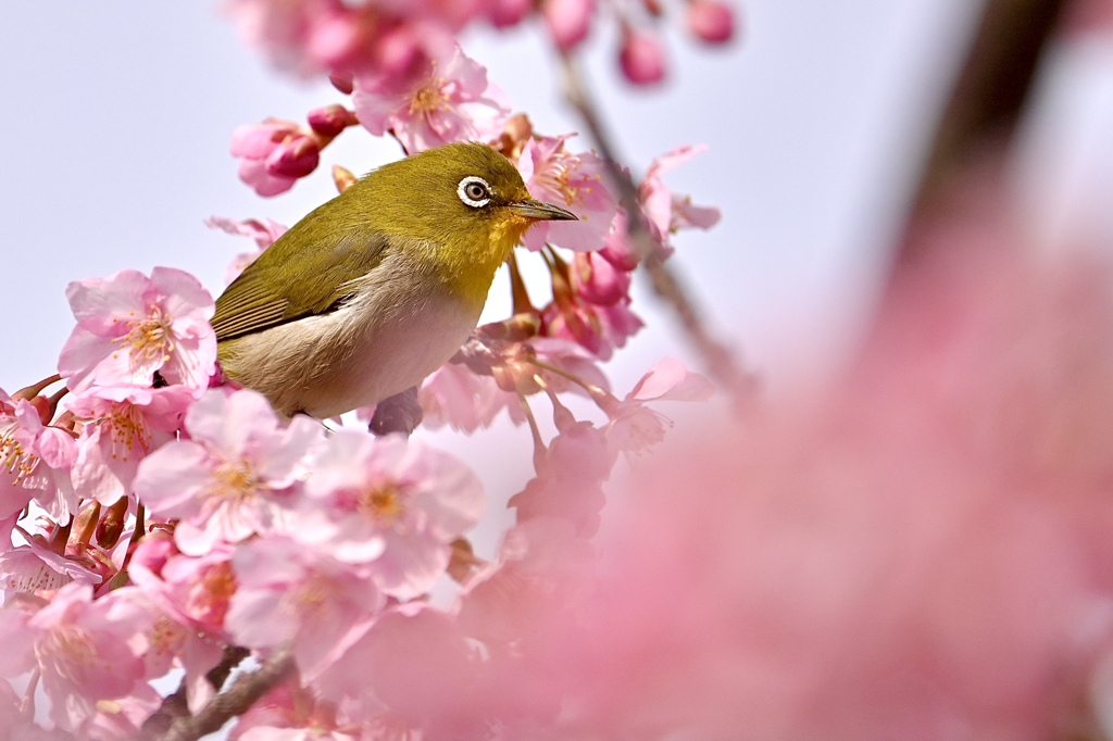 今日も忙しくなりそうだな～